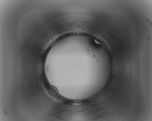 X0000103460496200809121101