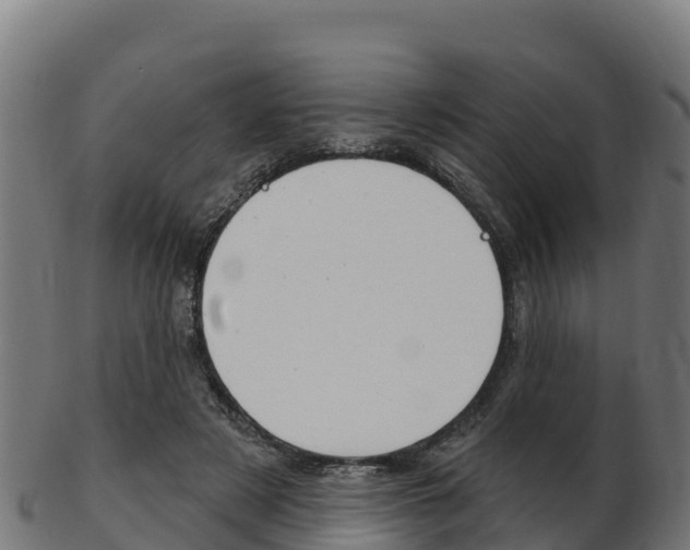 X0000103460497200809121101