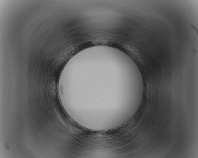 X0000103460498200809121101