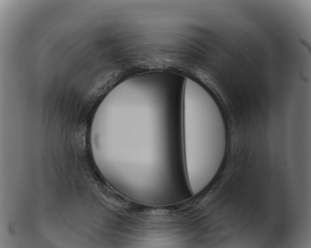 X0000103460501200809121101