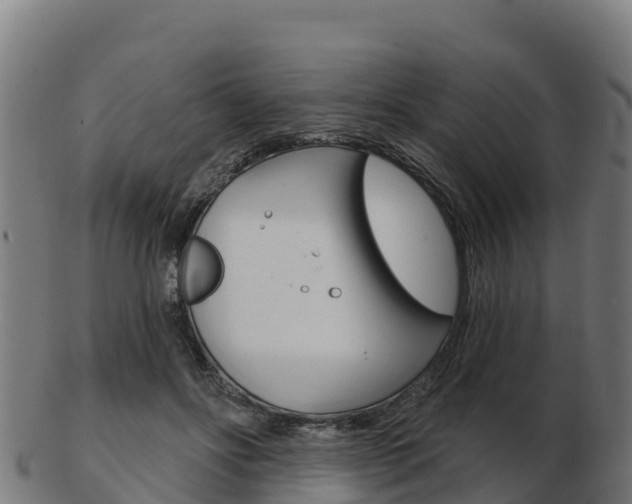 X0000103460502200809121101