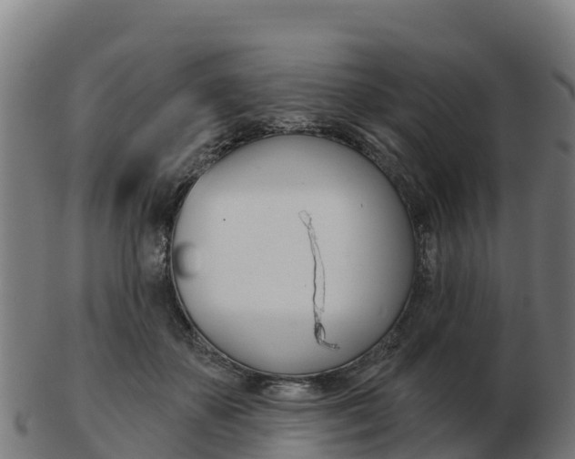 X0000103460507200809121100