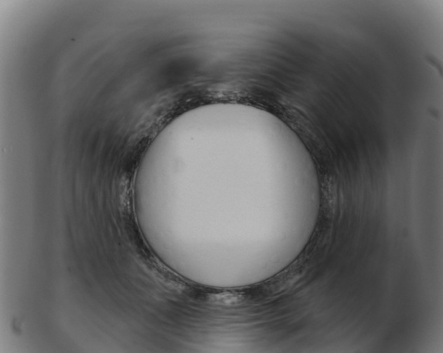 X0000103460511200809121100