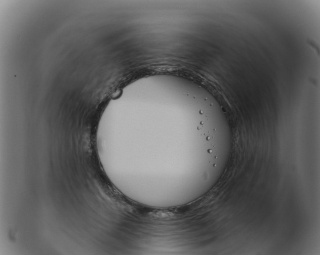 X0000103460512200809121100