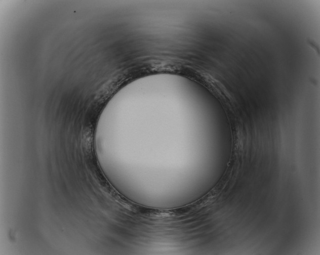 X0000103460513200809121100