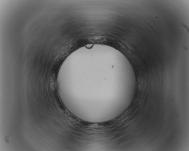 X0000103460515200809121100