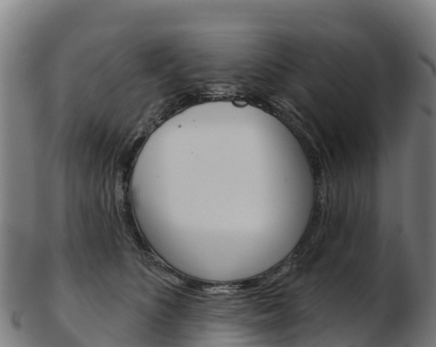 X0000103460516200809121100