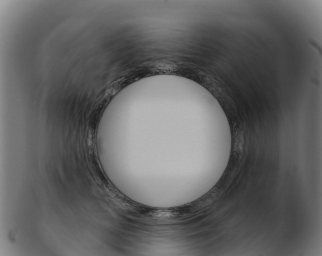 X0000103460518200809121100