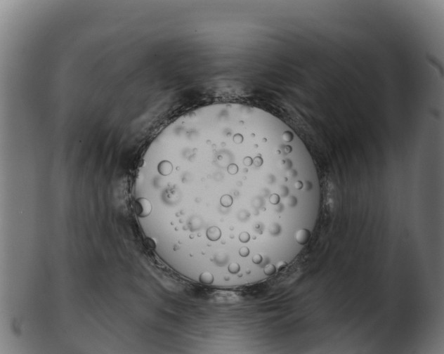 X0000103460519200809121100
