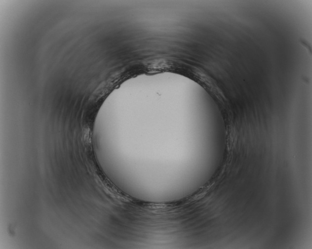 X0000103460521200809121100