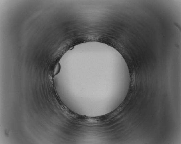 X0000103460522200809121100