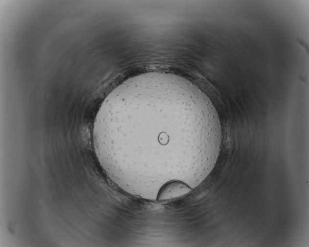 X0000103460523200809121100