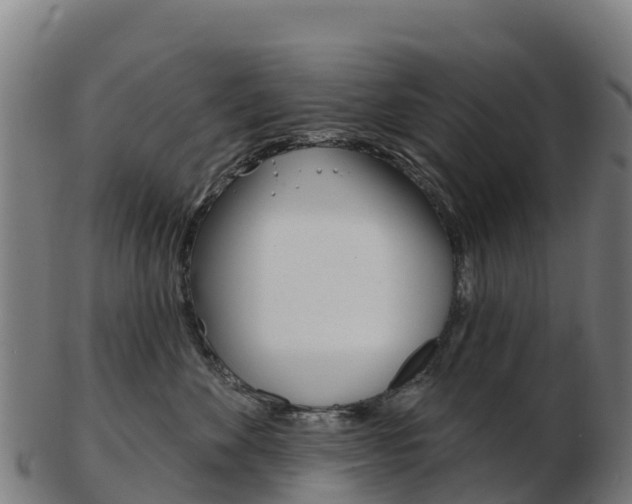 X0000103460524200809121100