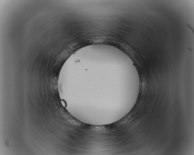 X0000103460525200809121100