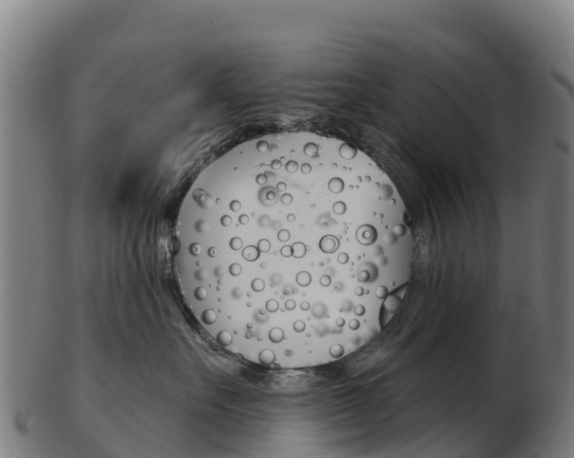 X0000103460527200809121100
