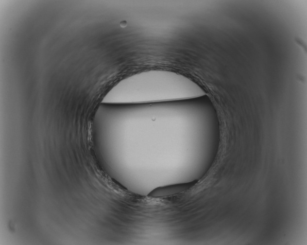 X0000103460528200809121100