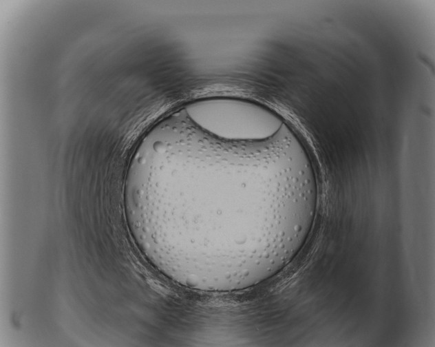 X0000103460529200809121059