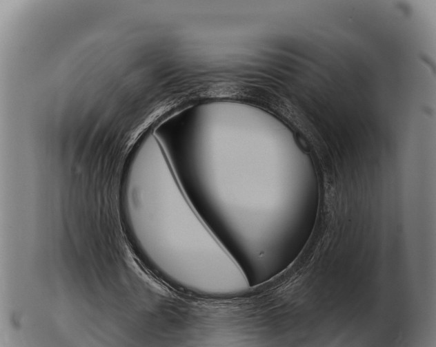 X0000103460530200809121059