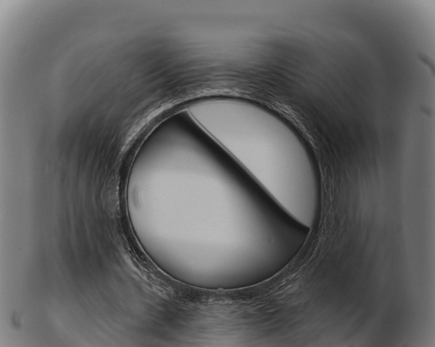 X0000103460531200809121059