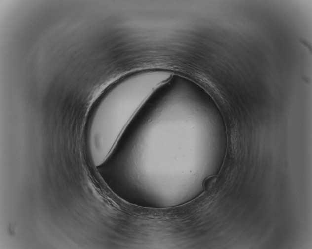 X0000103460532200809121059