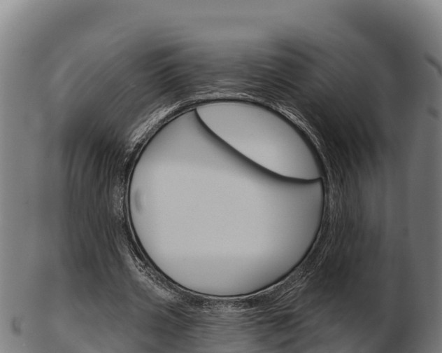 X0000103460533200809121100