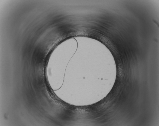 X0000103460534200809121100