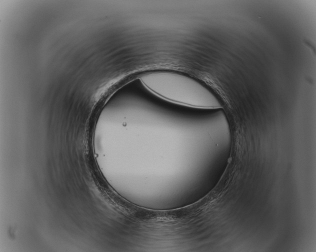 X0000103460536200809121100