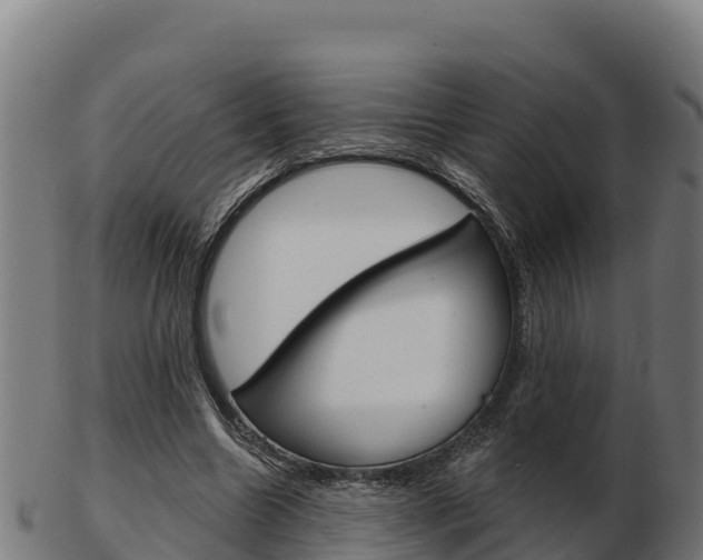 X0000103460538200809121100