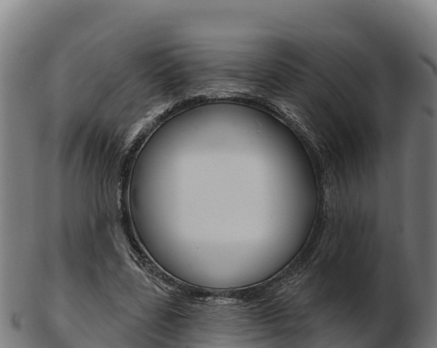 X0000103460539200809121100