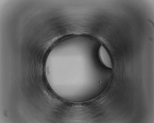 X0000103460540200809121100