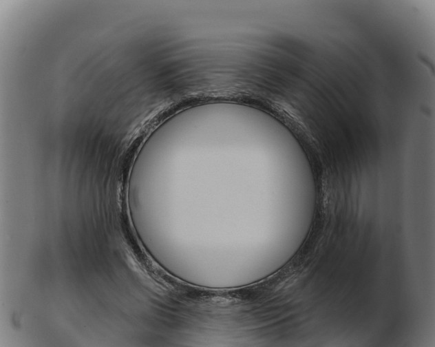 X0000103460542200809121100