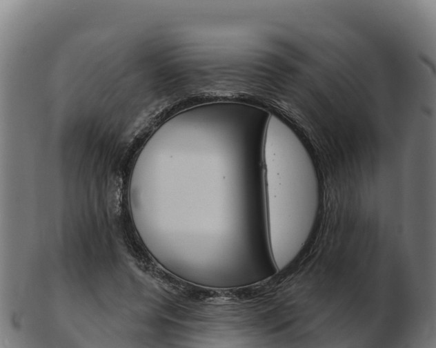X0000103460544200809121100