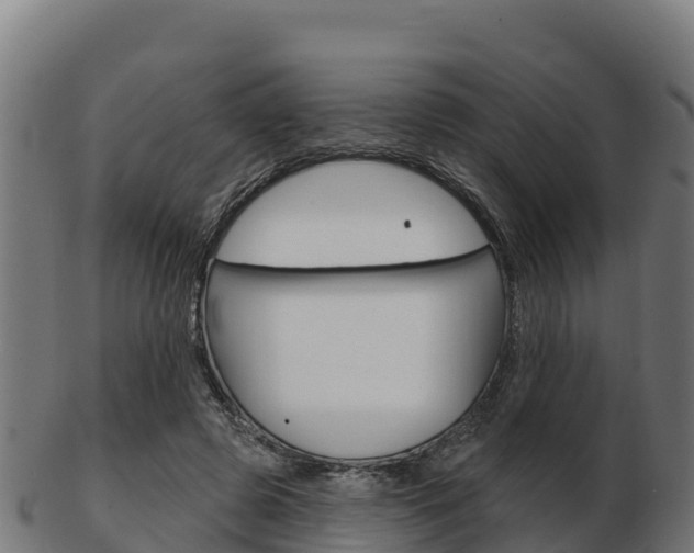 X0000103460545200809121100