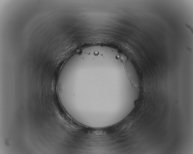 X0000103460546200809121100