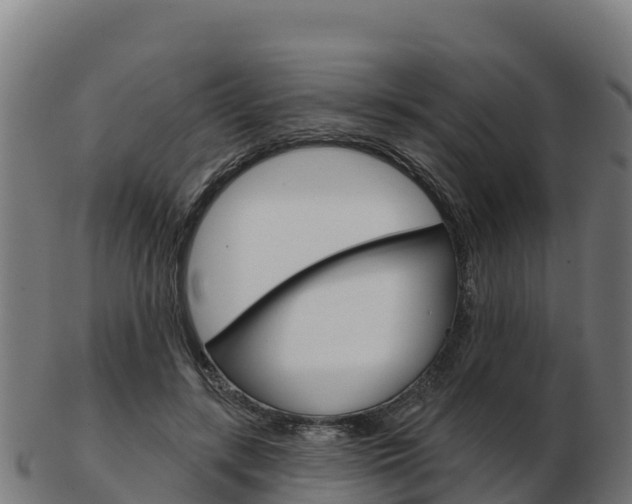X0000103460547200809121100