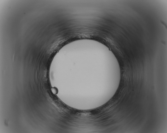 X0000103460548200809121100