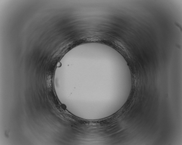 X0000103460549200809121100