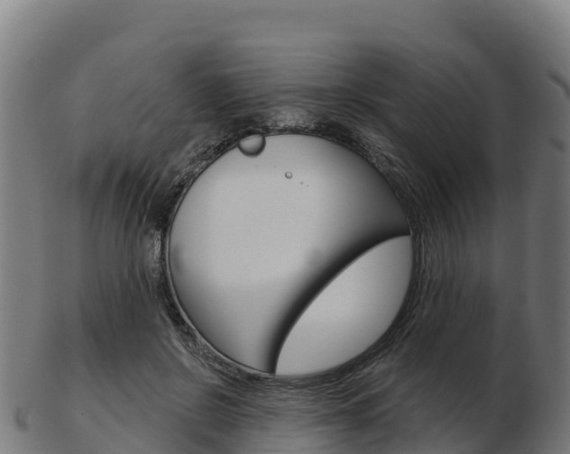 X0000103460550200809121100