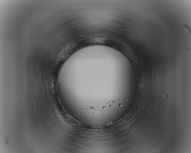X0000103460552200809121100