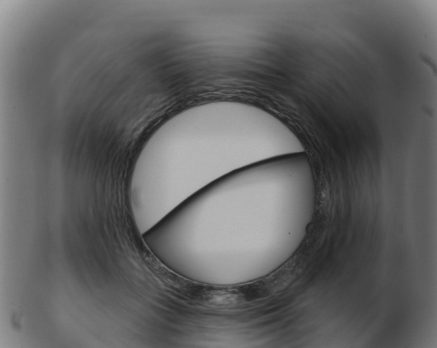 X0000103460555200809121100