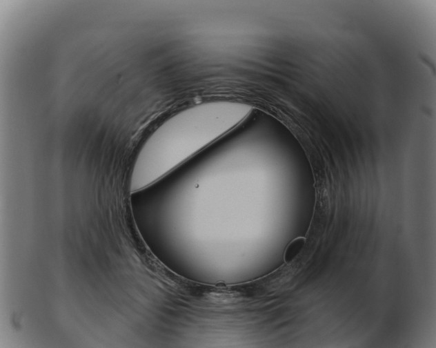X0000103460556200809121100