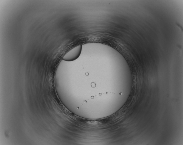 X0000103460557200809121100