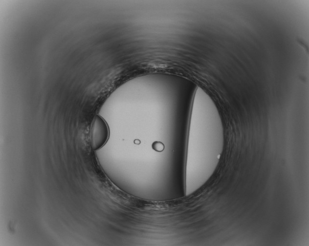 X0000103460559200809121100