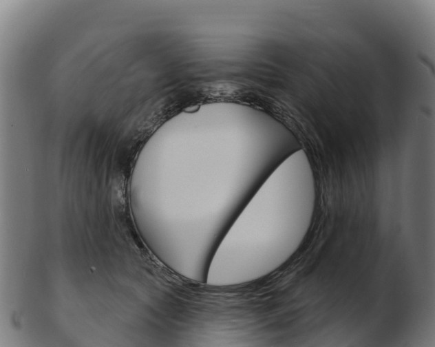 X0000103460561200809121100