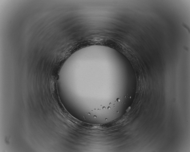 X0000103460562200809121100