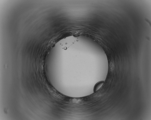 X0000103460570200809121100