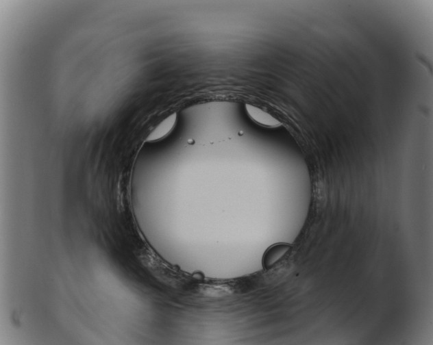X0000103460572200809121100
