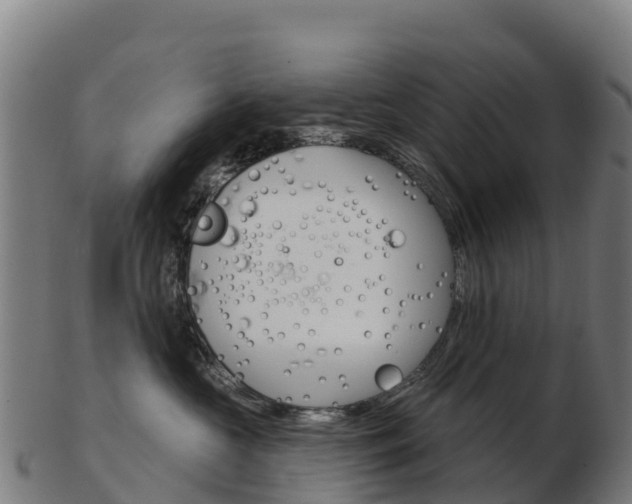 X0000103460573200809121100