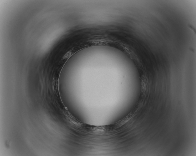 X0000103460574200809121100