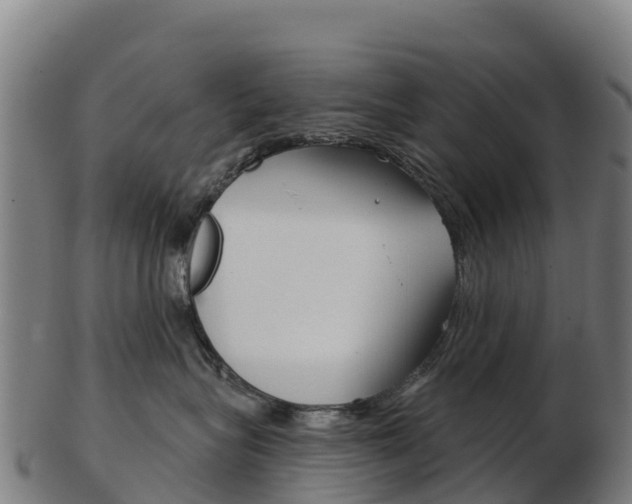X0000103460575200809121100